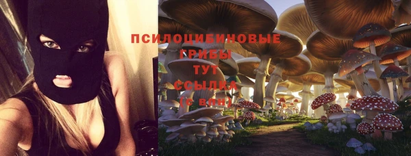 дмт Горнозаводск