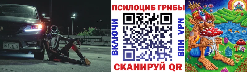 наркота  MEGA зеркало  Галлюциногенные грибы прущие грибы  Мончегорск 