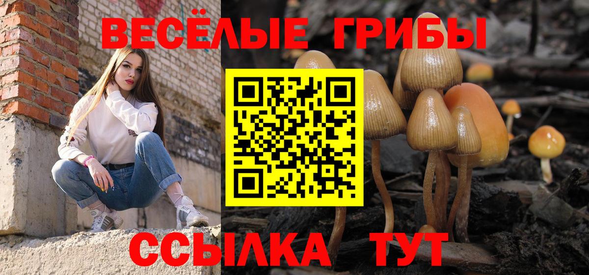 Псилоцибиновые грибы MAGIC MUSHROOMS Мончегорск