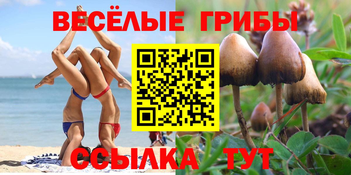 Галлюциногенные грибы ЛСД  Вход с VPN  Галлюциногенные грибы Psilocybe  Мончегорск 